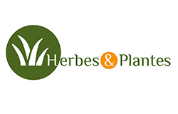 herbes-et-plantes-complement-alimentaire